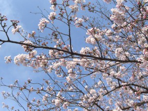 こんな感じ３月３１日