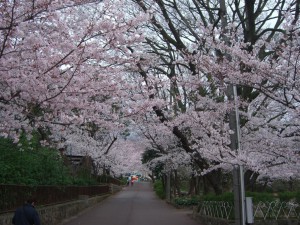 トンネル１日