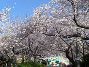 トンネル２日１