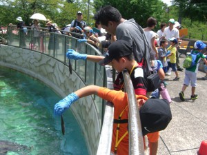 アジの餌やり