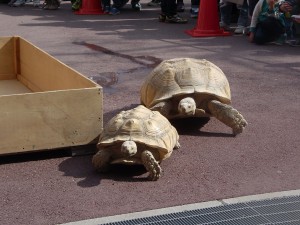 よしはるとキャサリン