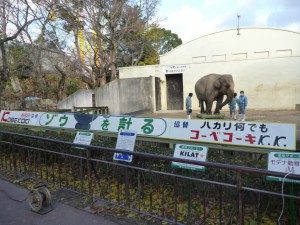 お客さんがみると