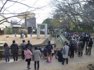 大勢のお客さんに見守られて