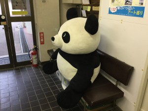 あふたーIMG_5029