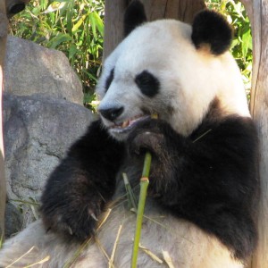 カン食0649