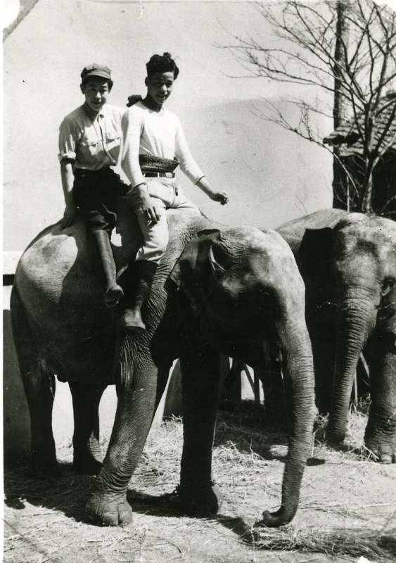 あしかのまさる (亀井一成の動物ものがたり絵本) あしかのまさる (亀井一成の動物ものがたり絵本)