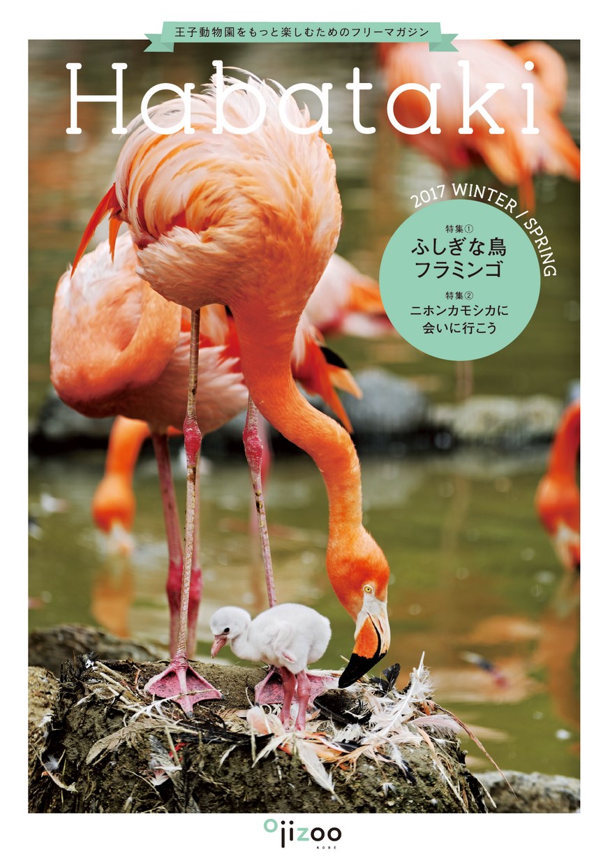 Habataki 2017 WINTER／SPRING｜王子動物園をもっと楽しむためのフリー