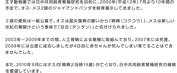 王子動物園では日中共同飼育繁殖研究を目的に、2000年(平成12年) 7月より10年間の予定で、オス・メス2頭のジャイアントパンダを飼育展示してきました。
２頭の愛称は一般公募で、オスは震災復興の願いから「興興（コウコウ）」、メスは新しい世紀の幕開けという意味で「旦旦（タンタン）」と名付けられました。
2003年～2009年までの間、人工授精による繁殖に取組んでおり、2007年には死産、2008年には出産に成功しましたが4日目に赤ちゃんが死んでしまい育てることはできませんでした。
また、2010年9月にはオスの「興興」（当時14歳）が亡くなり、現在は、新しいオスの迎え入れに向け、準備を進めています。