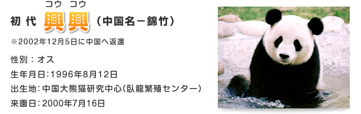 初代 興興 コウコウ（中国名－錦竹）
※2002年12月5日に中国へ返還
性別：オス
生年月日：1996年8月12日
出生地：中国大熊猫研究中心（臥龍繁殖センター）
来園日：2000年7月16日