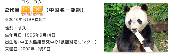 2代目 興興 コウコウ（中国名－龍龍）
※2010年9月9日に死亡
性別：オス
生年月日：1995年9月14日
出生地：中国大熊猫研究中心（臥龍繁殖センター）
来園日：2002年12月9日