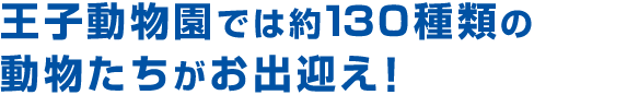 王子動物園では100種類を超えるたくさんの動物たちがお出迎え！