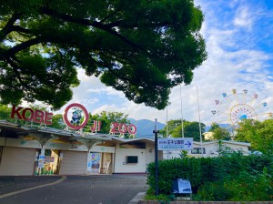 画像1‗王子動物園外観