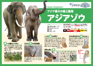 画像2‗1‗動物専門員看板‗ゾウ