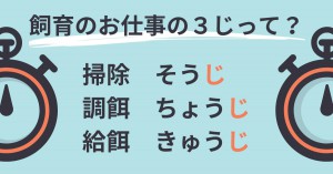 (画像1)飼育のお仕事の３じって？