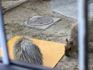 写真1：台を置く