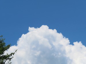 IMG_2492