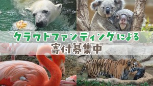 サイトバナー用2_アートボード 1 のコピー 2