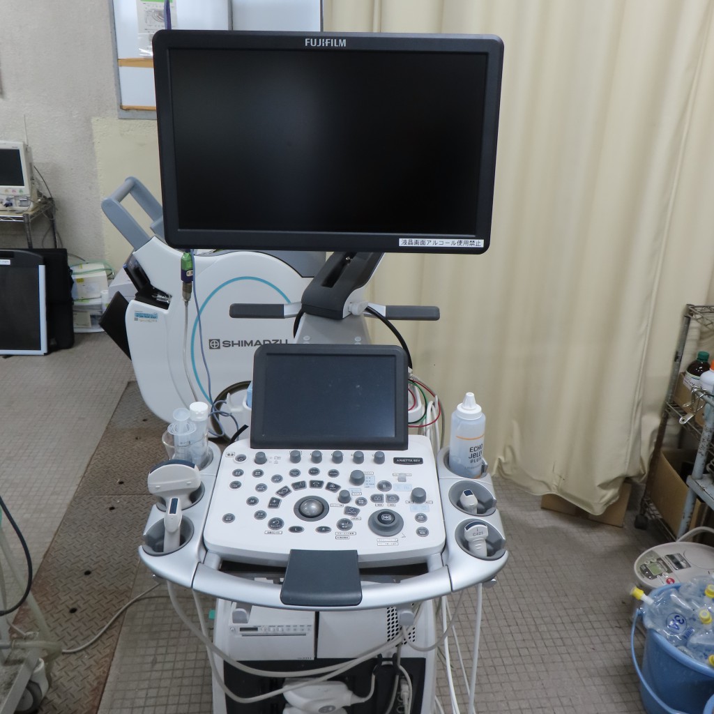 写真８（エコー大型）