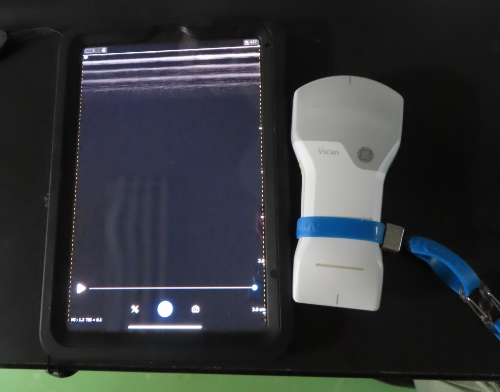 写真９（スマホサイズ）