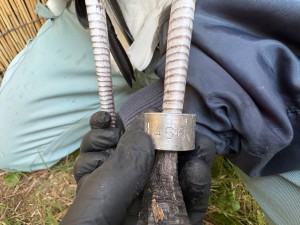 動物専門員写真①