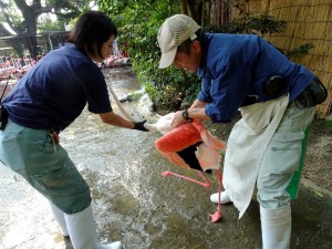動物専門員写真③