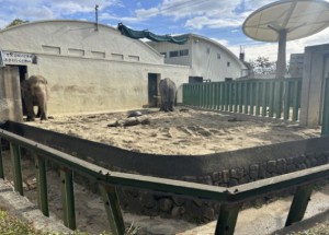 02 ゾウ舎放飼場