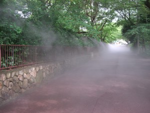 10 園路ミスト