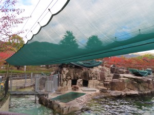 11 アシカ舎日よけネット