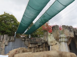 12 ホッキョクグマ舎日よけネット