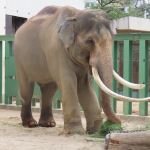 マック_全体像(1)