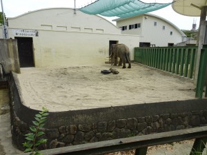 マック_展示場に柔らかい砂を投入