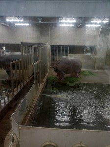 写真⑤599831711215518277