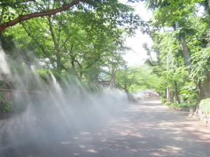 IMG_2423