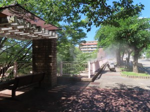 IMG_9672