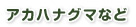 アカハナグマなど