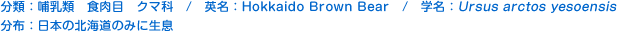 分類：哺乳類 食肉目 クマ科 
英名：Hokkaido Brown Bear 
学名：Ursus arctos yesoensis 
分布：日本の北海道のみに生息