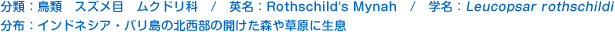 分類：鳥類 スズメ目 ムクドリ科 
英名：Rothschild\\\\\\\\\\\\\\\'s Mynah 
学名：Leucopsar rothschildi 
分布：インドネシア・バリ島の北西部の開けた森や草原に生息