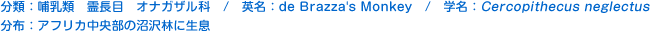 分類：哺乳類 霊長目 オナガザル科 
英名：de Brazza\\\\\\\\\\\\\\\\\\\\\\\\\\\\\\\\\\\\\\\\\\\\\\\\\\\\\\\\\\\\\\\'s Monkey 
学名：Cercopithecus neglectus 
分布：アフリカ中央部の沼沢林に生息