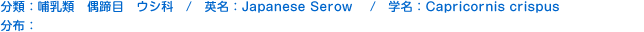 分類：哺乳類 偶蹄目 ウシ科 
英名：Japanese Serow  
学名：Capricornis crispus  
分布：日本の本州・四国・九州の山地に生息