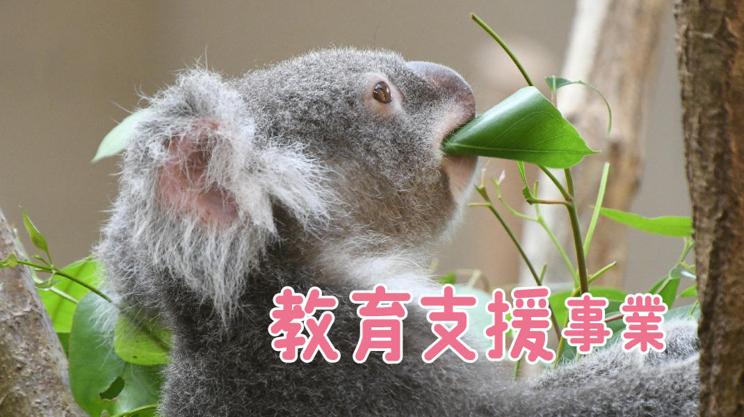 王子動物園 2010•2011ダイアリー 2010年2月21日の神戸王子動物園（1） | あさっても天気