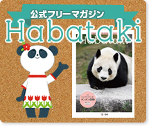 公式フリーマガジン -Habataki-