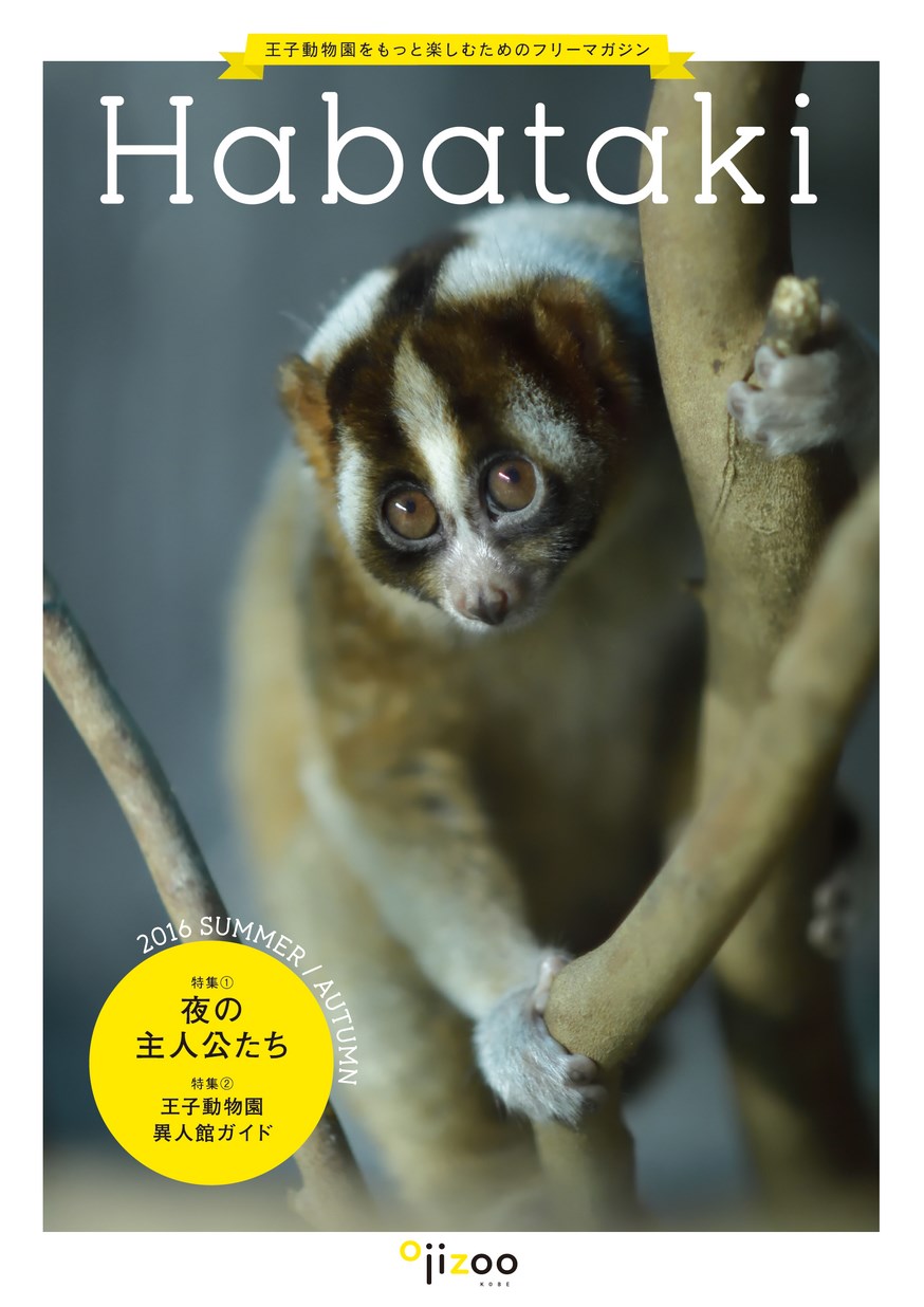 Habataki 2016 SUMMER／AUTUMN｜王子動物園をもっと楽しむためのフリー